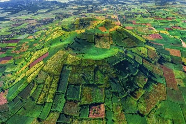 Năm Du lịch quốc gia 2026: Hành trình kiến tạo giá trị từ "Đại ngàn chạm biển xanh"-image